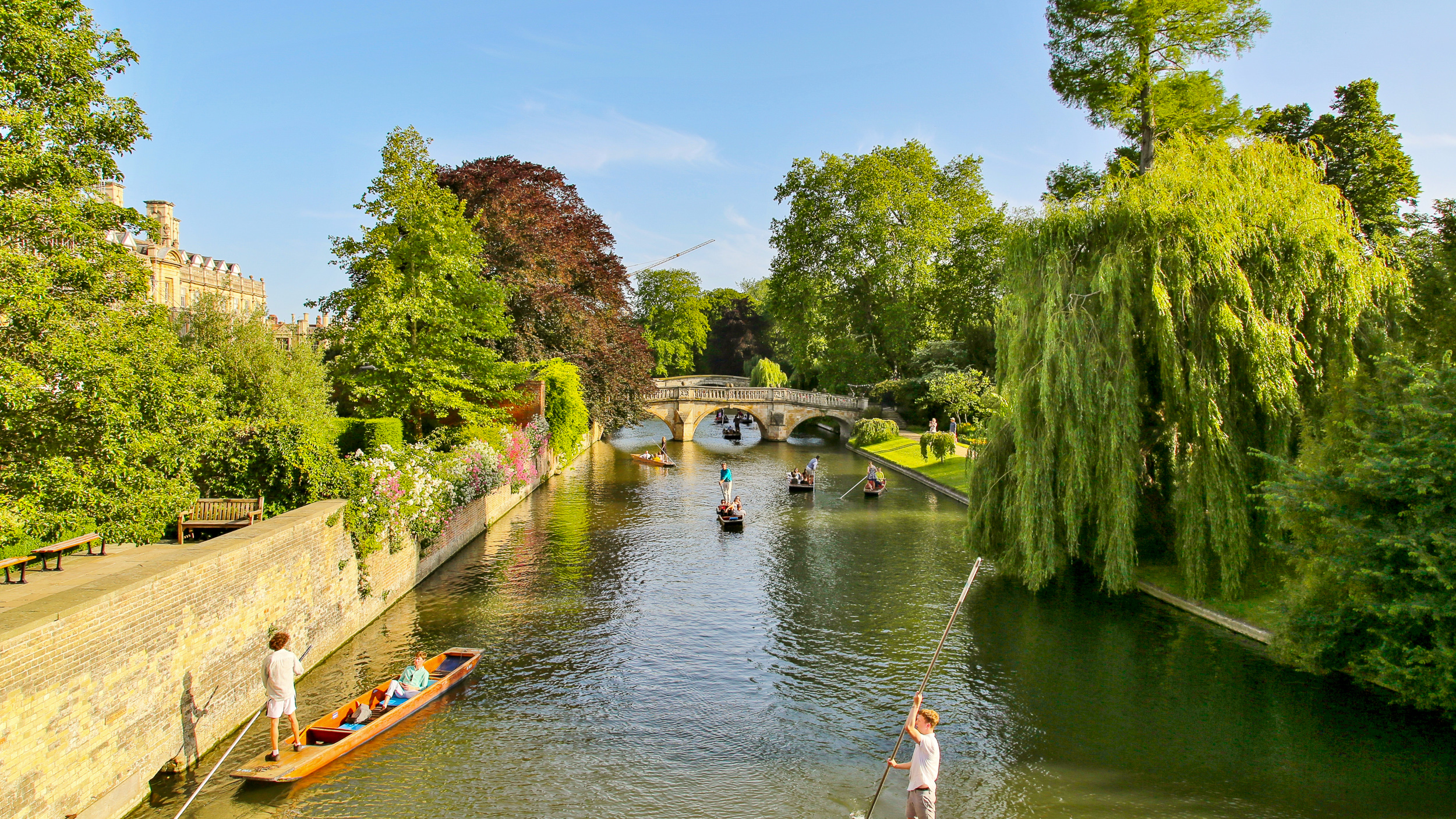 Scenic view of a riverside in Cambridge, with punters on the water and lush greenery along the banks under a clear blue sky.
