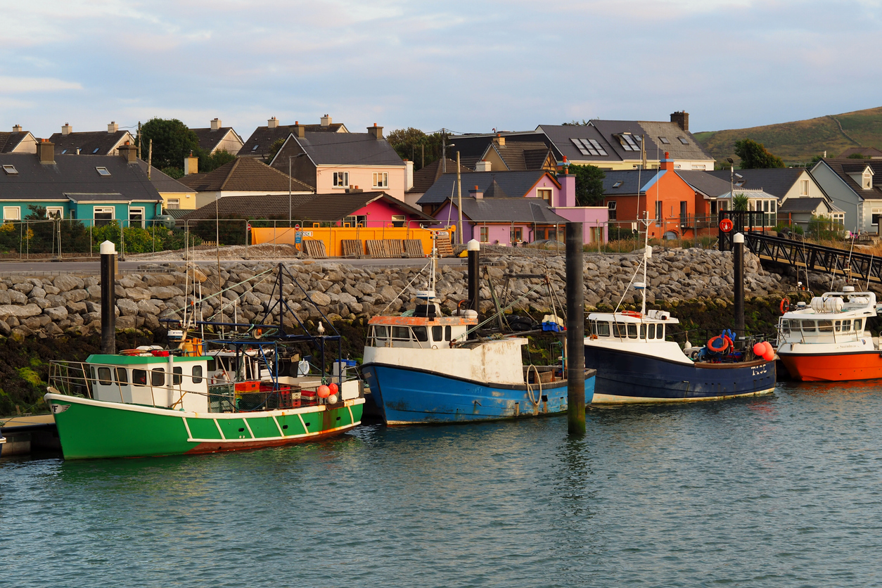 wild-coast-dingle-peninsula-and-slea-head-1-day-tour-from-killarney