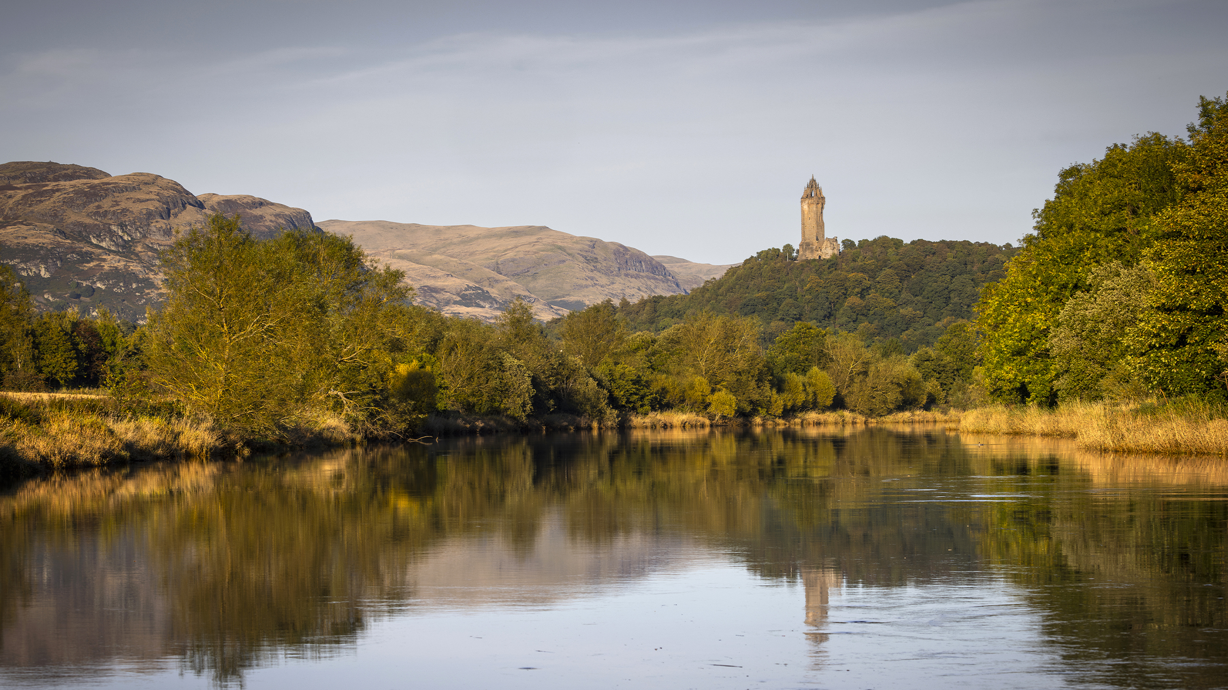 A scenic view of trees growing by a bank of a loch in Loch Lomond and the Trossachs National Park