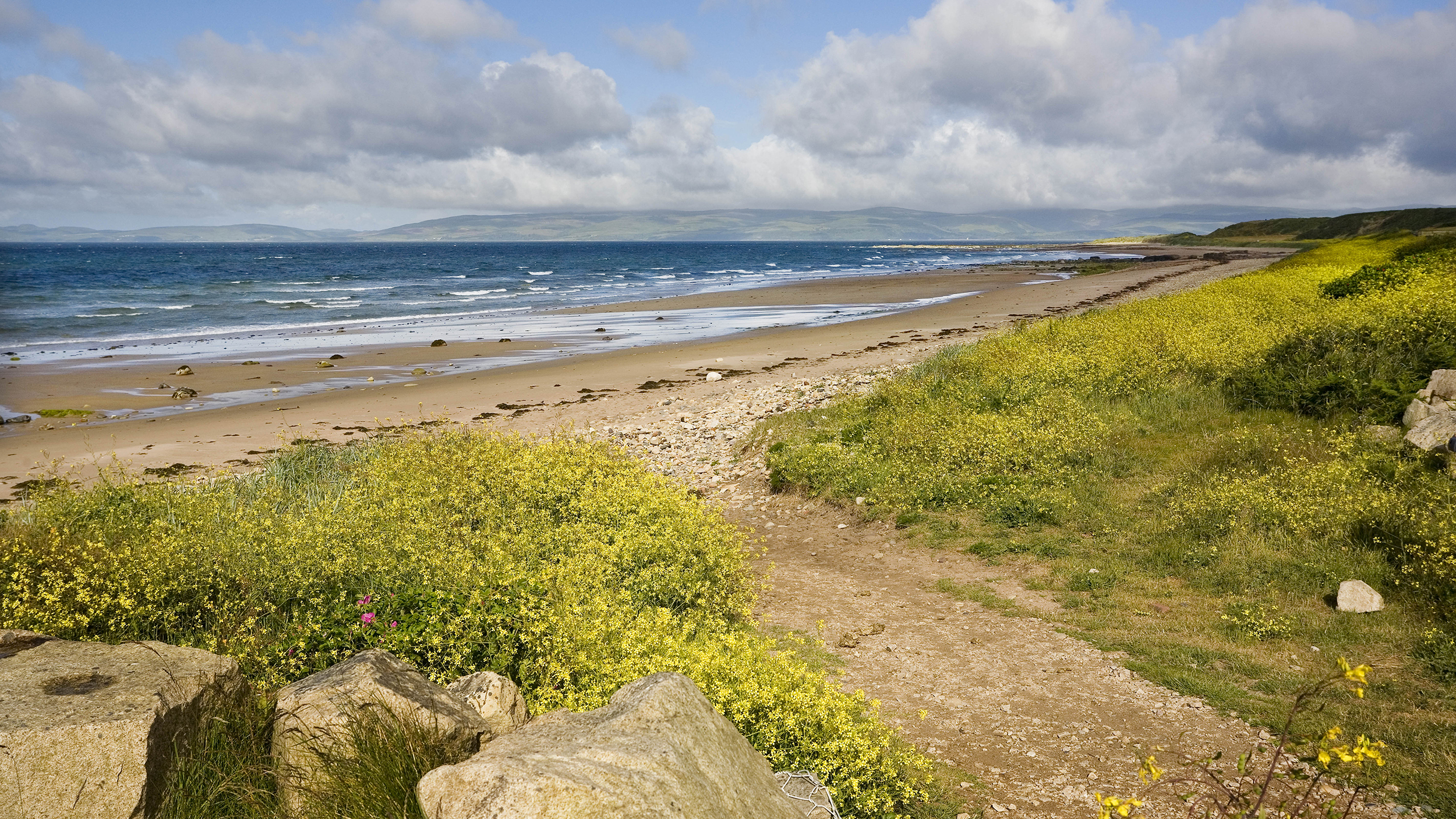 Scenic beach view with golden sand, blue waves, and vibrant yellow wildflowers under a partly cloudy sky.