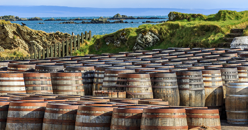 whisky barrels by the water
