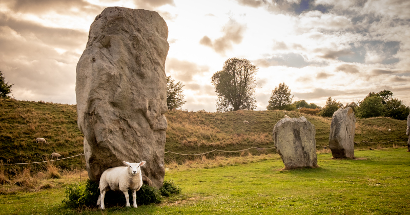three standing stones with sheep around on green fields