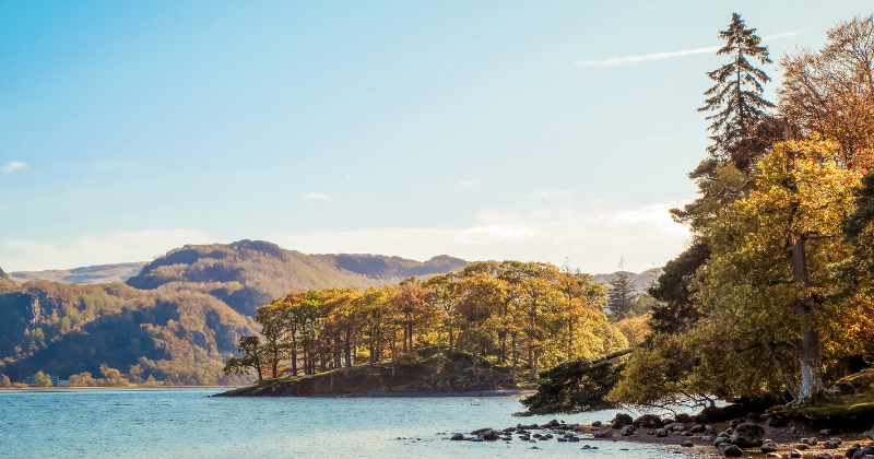 trees and mountains surrounding a loch