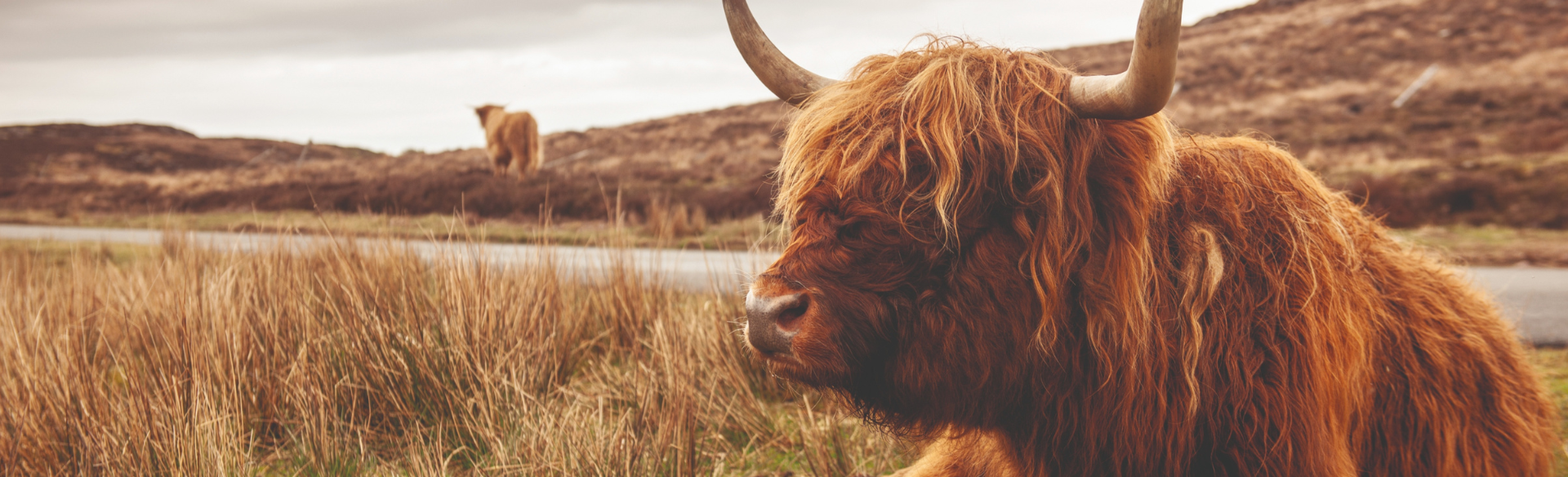 50 Things You Only Understand if You've Been to Scotland