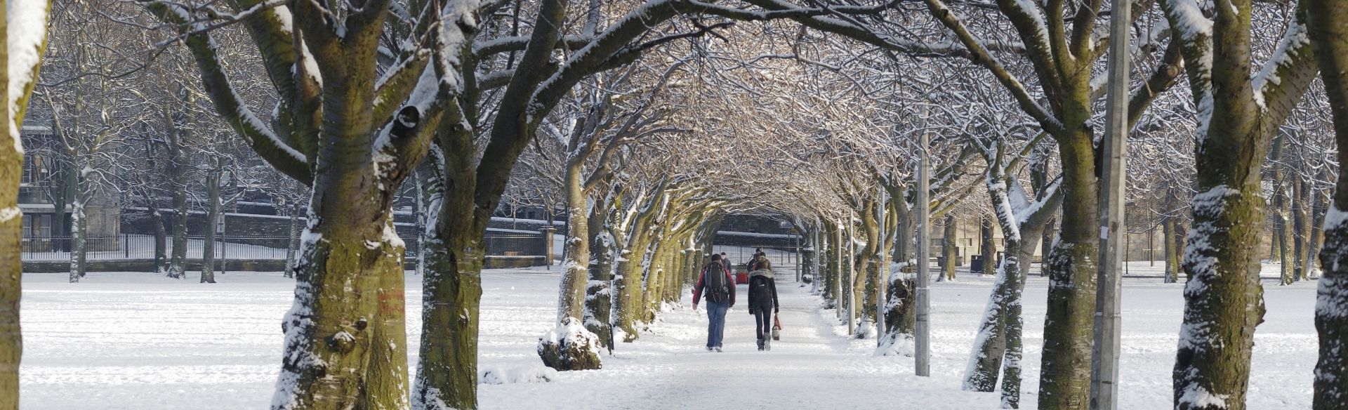 6 Best Scottish Winter Traditions to Try