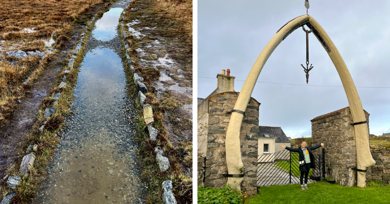 A path with water, and a woman standing under an enormous whale bone