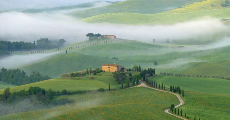 a green landscape covered in fog