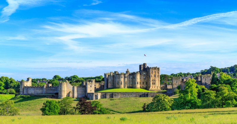 a castle in a green field