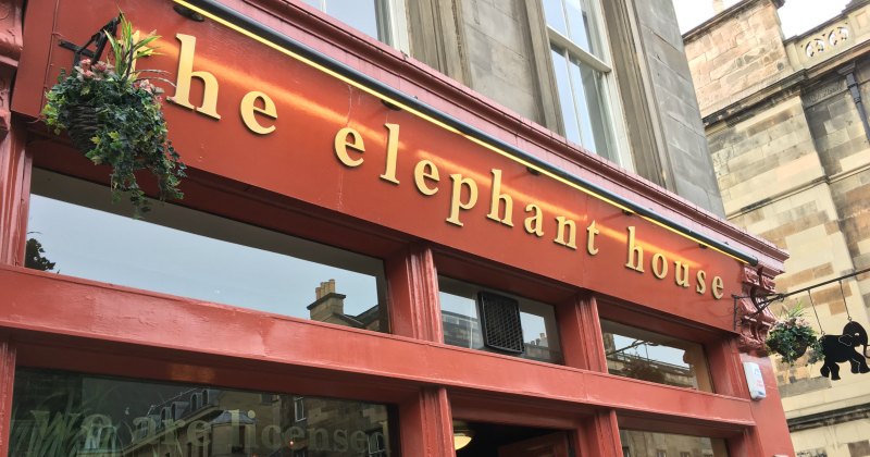 a cafe called the elephant house