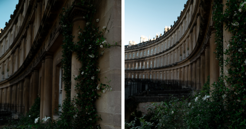 Elegant Georgian architecture framed by lush greenery in a tranquil UK setting. Perfect for exploring historic sights.