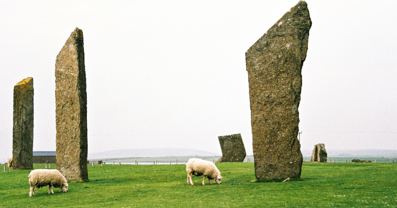 standing stones in a field with sheep