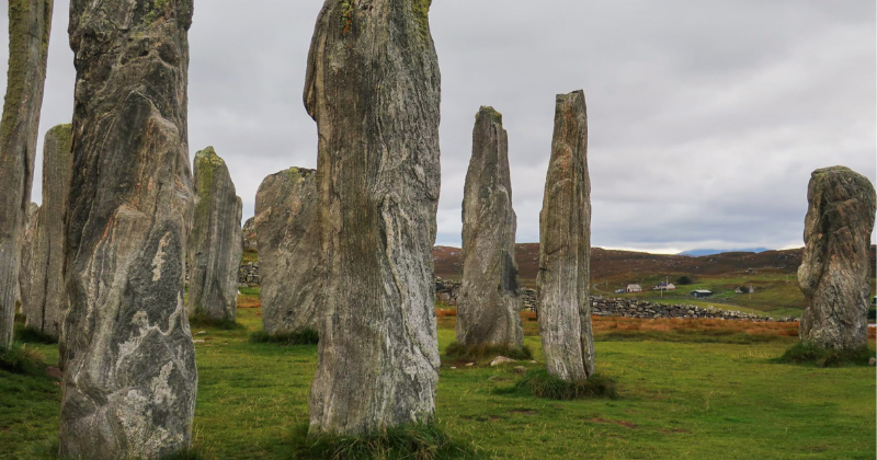 standing stones in a field