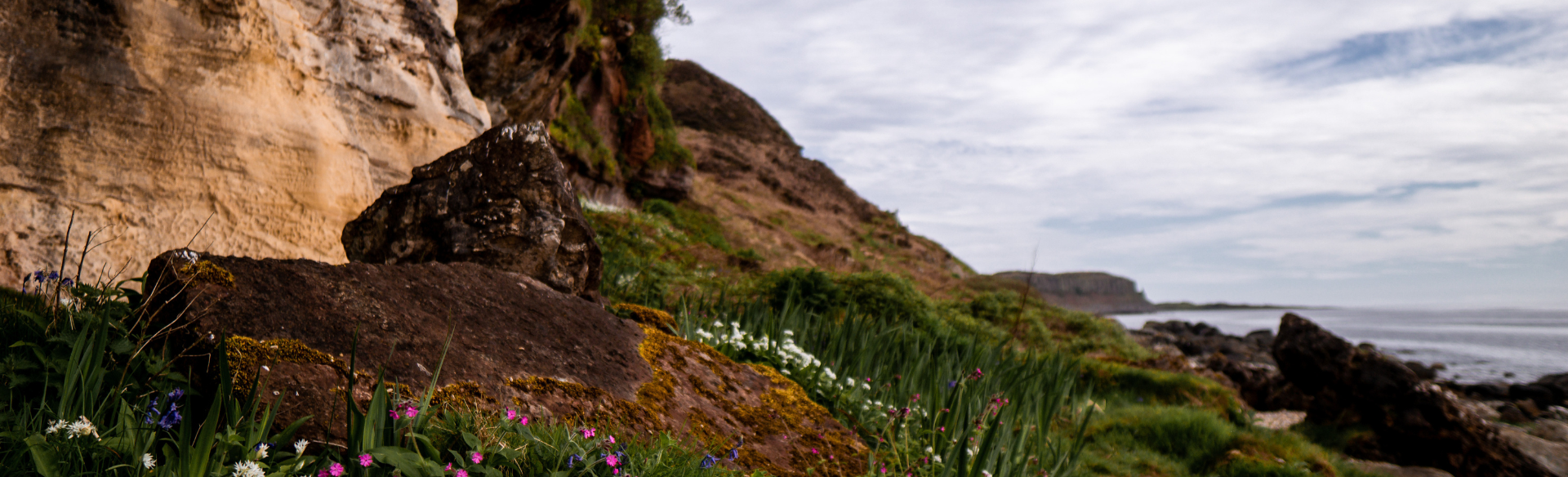 A Mini Adventure in Scotland in Miniature