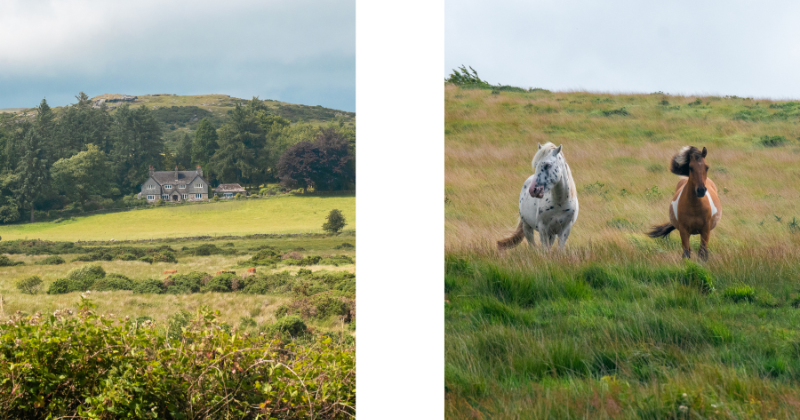 Scenic landscape with lush green fields, a charming house, and two horses grazing under a partly cloudy sky.