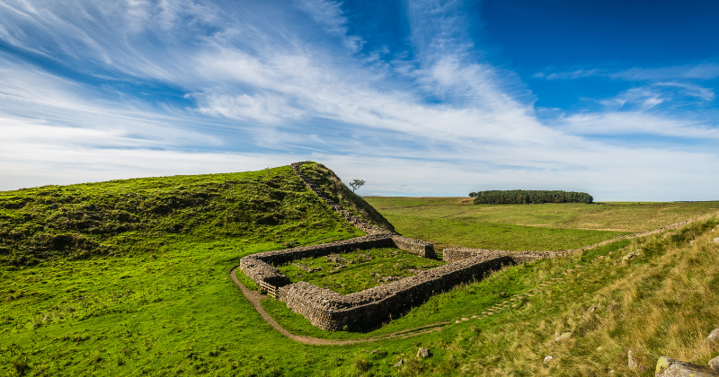 stone ruins in a field