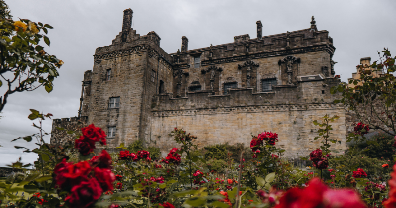 red roses in a garden underneath a stone castle