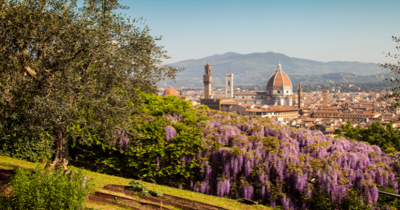 Florence buildings in the background with a garden in front displaying beautiful purple flowers