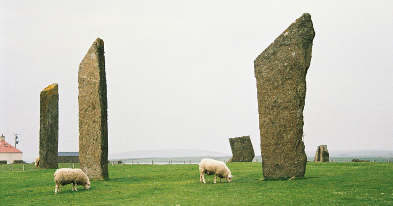 tall standing stones with two sheep grazing around