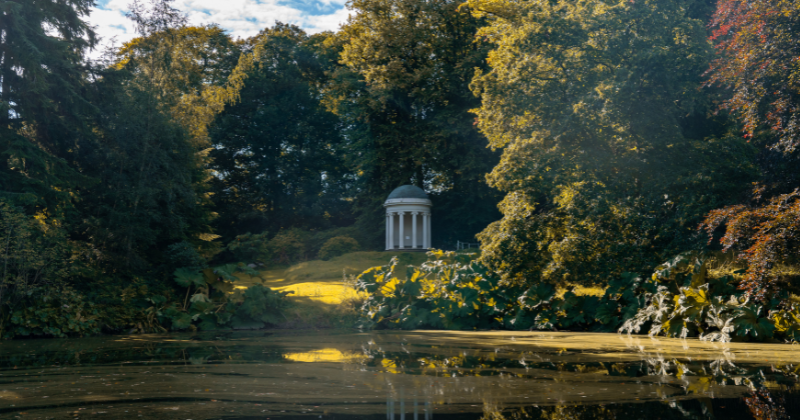 small white temple building surrounded by lush green leaves and a lake in front