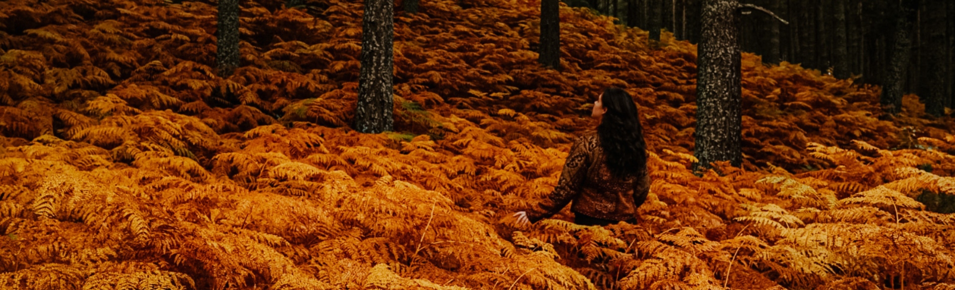 How to Celebrate the Autumnal Equinox This Year