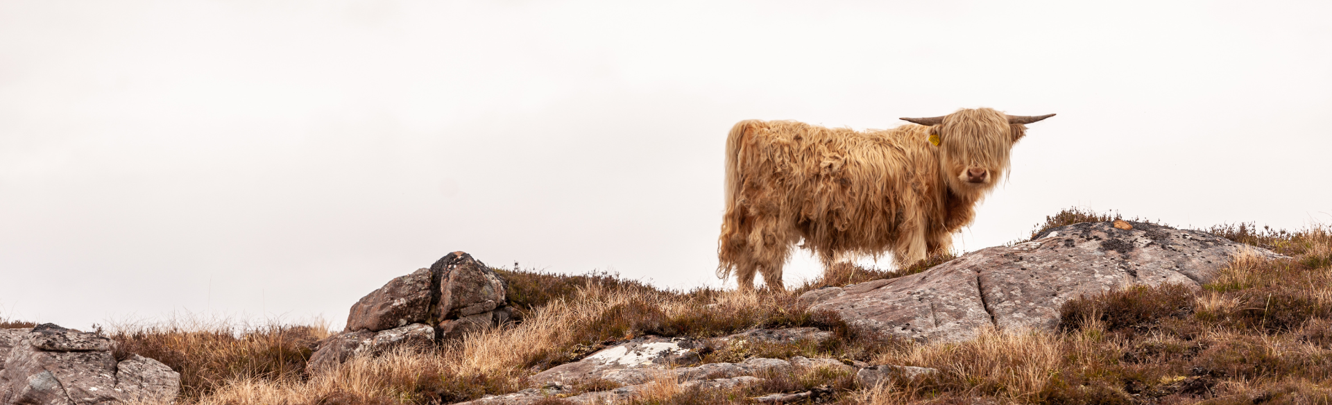 How to Plan Any Trip in 5 Easy Steps