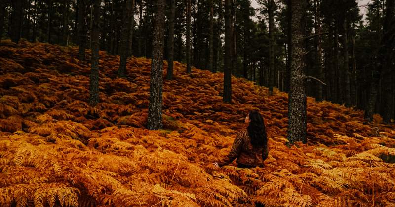 woman stood in orange leaves with surrounding tree trunks