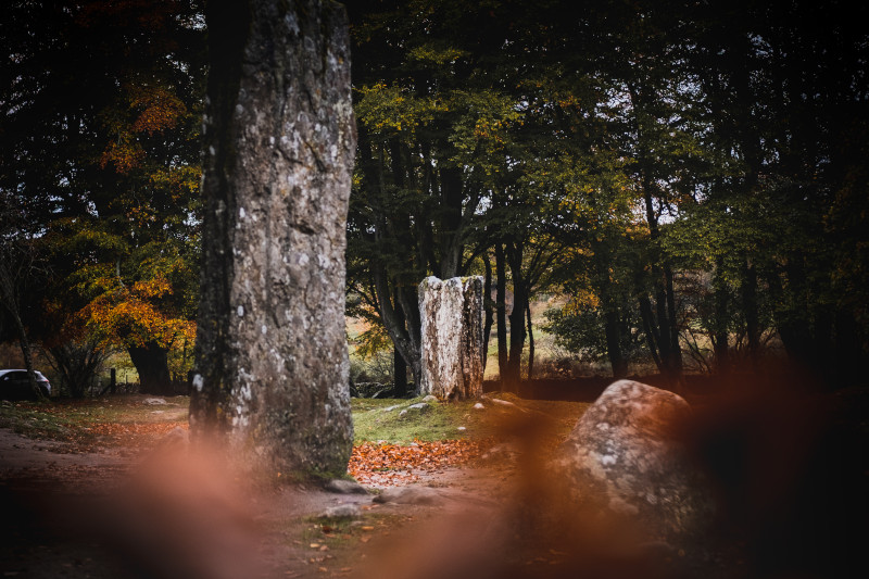 stones of Clava Cairns surrounded by trees in autumn