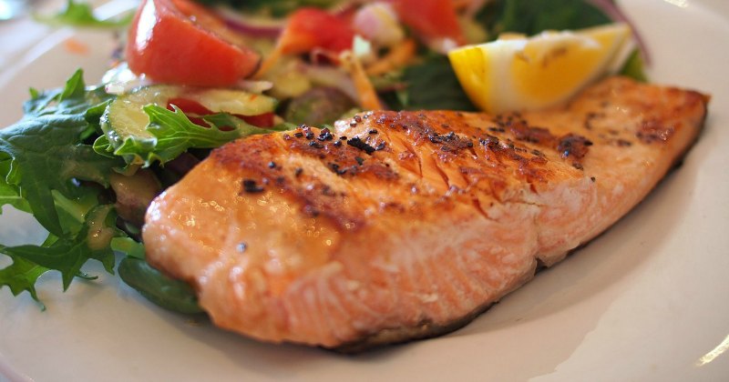 a plate of salmon and salad