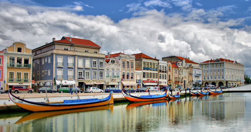 water front landscape with a line of boats tied to the edge