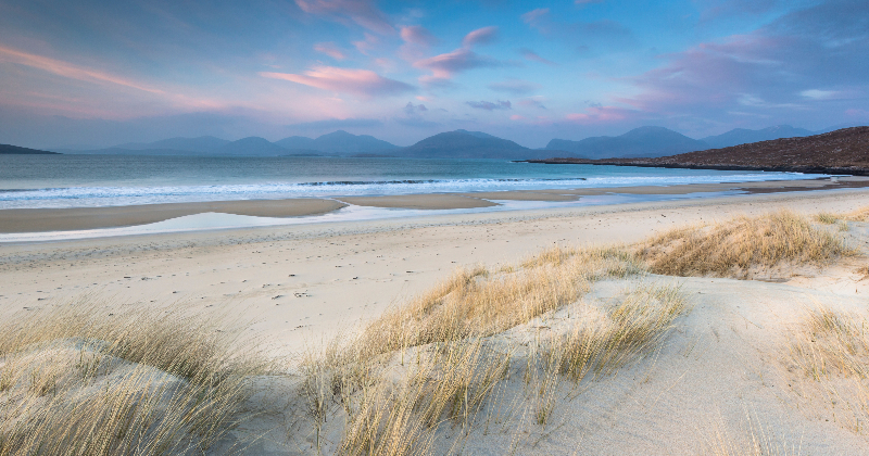 long stretch of white sand beach sprinkled with dry grass and in the background the blue sea