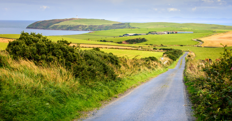 a road through a green landscape with the ocean in the distance