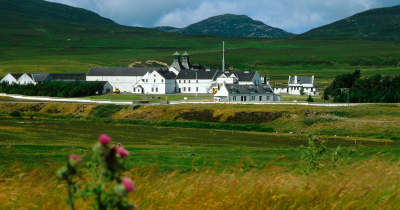 a large white building in a green landscape