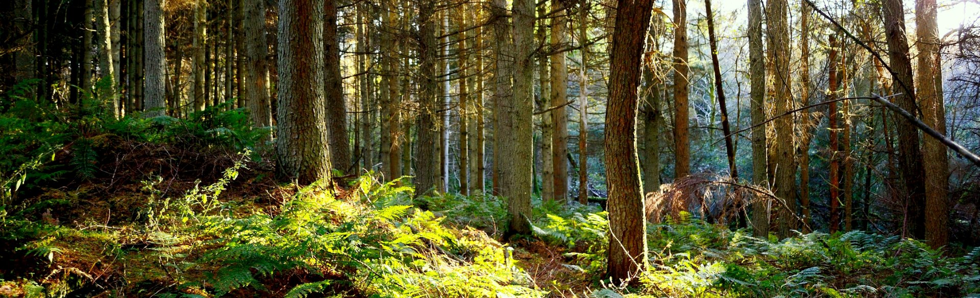 Self-driving Cars and Changing Attitudes: Our CEO Talks Sustainable Travel