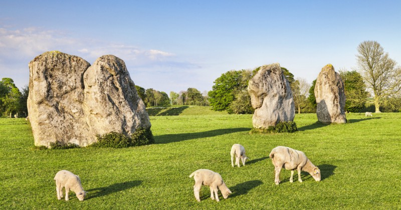Meadow with grazing sheep and ancient stone formations under a clear blue sky.