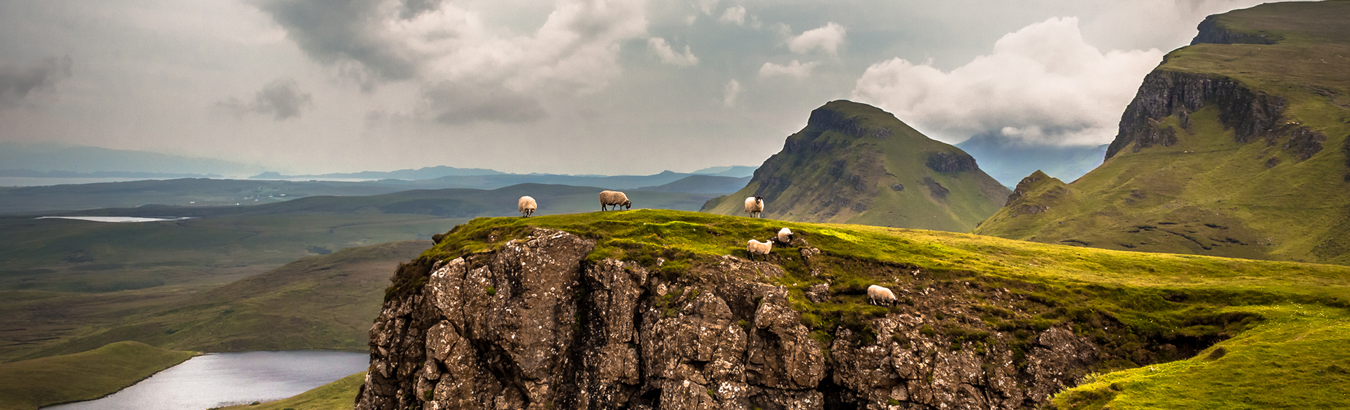 Skye Needs Your Help