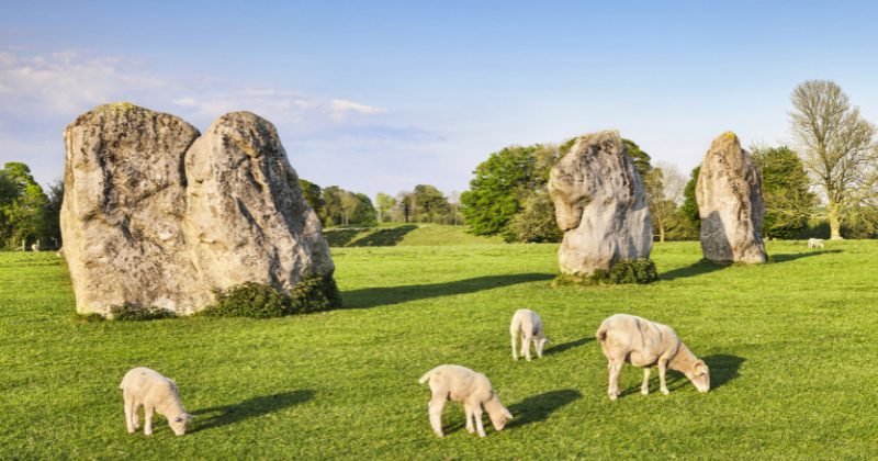 three standing stones with four sheep in front grazing of green grass