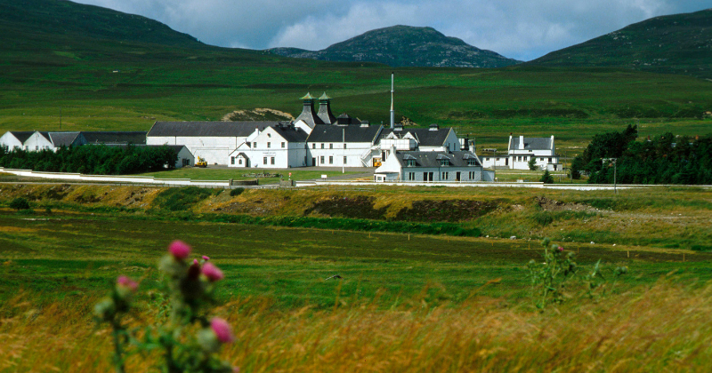 A picturesque view of a spacious estate surrounded by lush green hills and wildflowers under a partly cloudy sky.