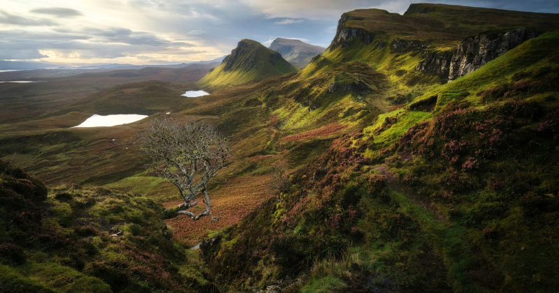 a green valley landscape