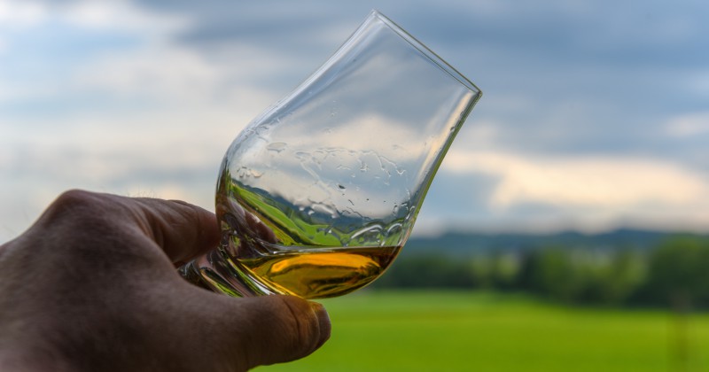 a hand holding a glass of whisky