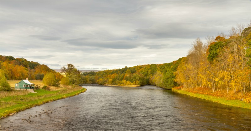 a river surrounded by trees