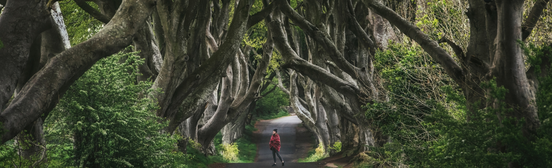 Where to See the Best Game of Thrones Locations in Northern Ireland
