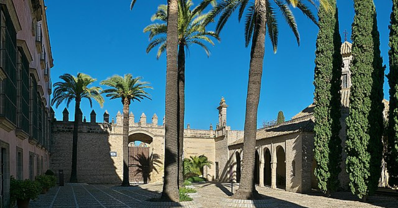 Sunlit courtyard with palm trees, tall cypress, and historic architecture, inviting you to explore the beauty of the UK.