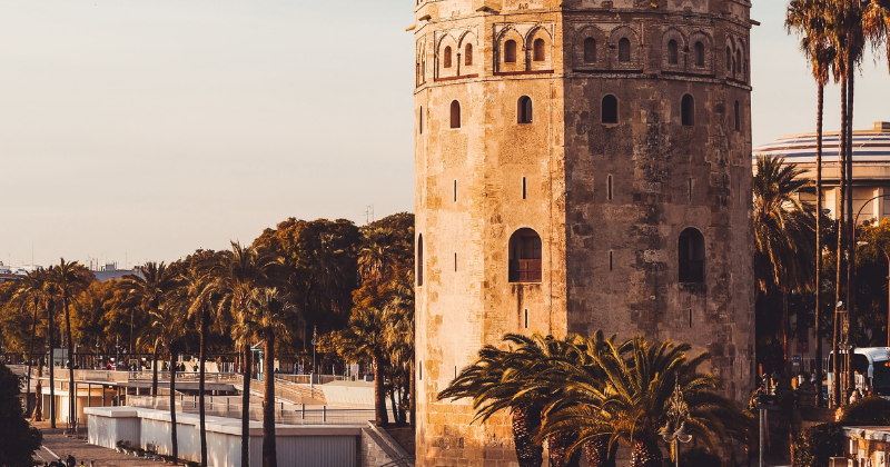Historic tower surrounded by palm trees, capturing the essence of a vibrant waterfront location at sunset.