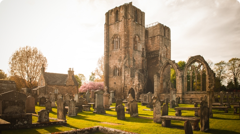 Ruins of an old church tower surrounded by gravestones and lush green grass, with trees in bloom under a soft sky.
