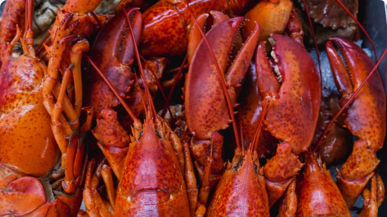 A close-up view of several vibrant red lobsters piled together, showcasing their claws and textured shells.